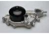 Water Pump:12458934