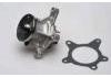 Water Pump:251002B010