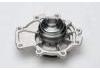 Water Pump:4431771