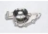 Water Pump:12338842