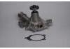 Water Pump:8130749