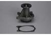 Water Pump:10048968