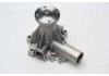 Water Pump:270681