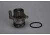 Water Pump:38121011