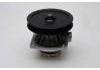 Water Pump:7752928