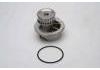 Water Pump:1334046