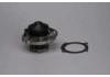 Water Pump:46526243