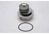 Water Pump:90325661