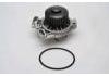 Water Pump:034121004