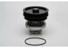 Water Pump:7750698