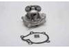 Water Pump:2101085G25