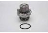 Water Pump:038121011C
