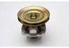 Water Pump:7784975