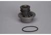 Water Pump:1334004