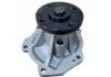 Water Pump:1027110GD190