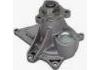 Water Pump:55505442