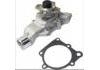 水泵 Water Pump:5012366AA