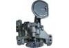 Ölpumpe Oil Pump:100156