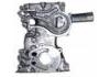 Ölpumpe Oil Pump:1130235010