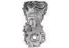 Ölpumpe Oil Pump:113100V020