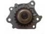 Ölpumpe Oil Pump:15100-B1010