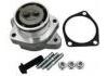 Oil Pump:504189626