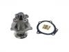 Water Pump:8-24576-952-0