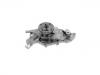 Water Pump:12520914