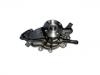 Water Pump:14033195