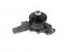 Water Pump:5745093