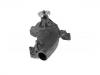 Water Pump:10074182