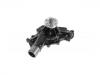 Water Pump:5744662
