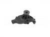Water Pump:8-12524-498-0