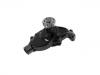 Water Pump:10181386