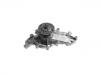 Water Pump:14101304