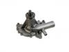 Water Pump:1260709