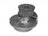 Water Pump:7084922