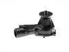 Water Pump:10120938