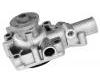 Water Pump:7303009