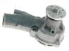 Water Pump:474055