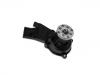 Water Pump:12533503