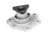 Water Pump:21007453