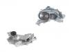 Water Pump:10159599
