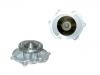 Water Pump:12566029