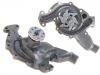 Water Pump:3634514
