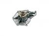 Water Pump:958.106.033.20