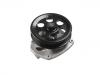 Water Pump:12657198