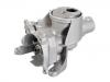 Oil Pump:1001.H1
